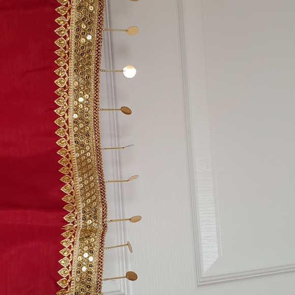 Pakistani/Indian formal Raw silk Shalwar kameez FINAL PRICE - Picture 5 of 14